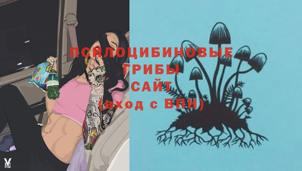 стафф Алексеевка