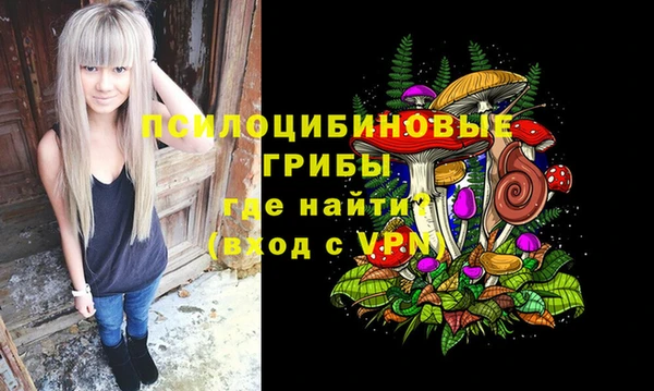 стафф Алексеевка