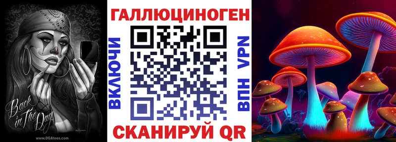 Галлюциногенные грибы Psilocybine cubensis  Бежецк 